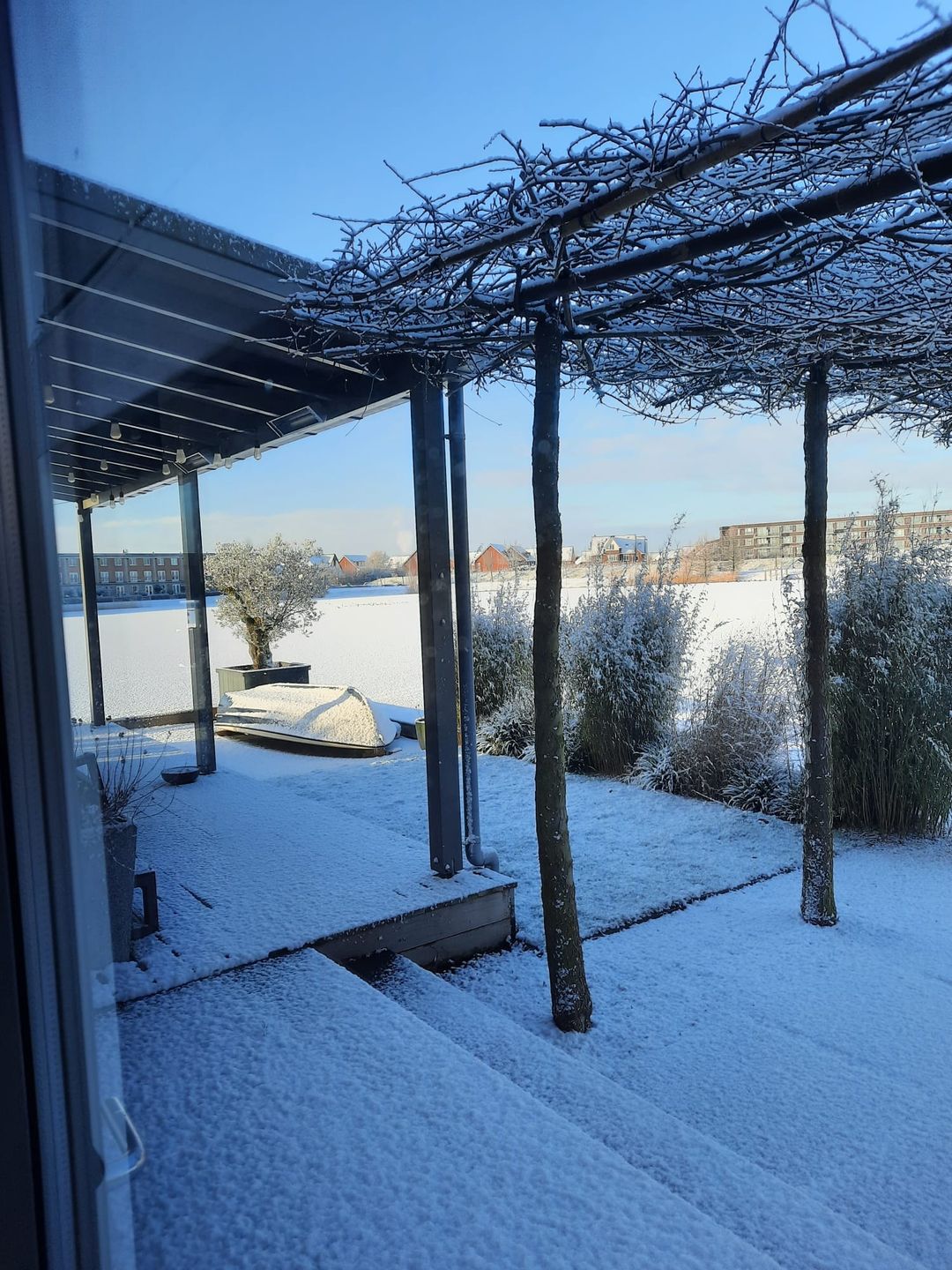 Photo 52 of Rendiermos 6