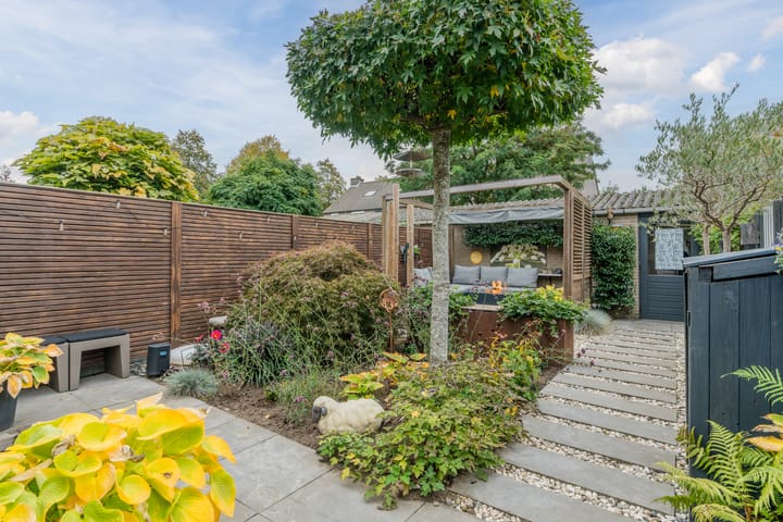 Photo 5 of Aragorn 27