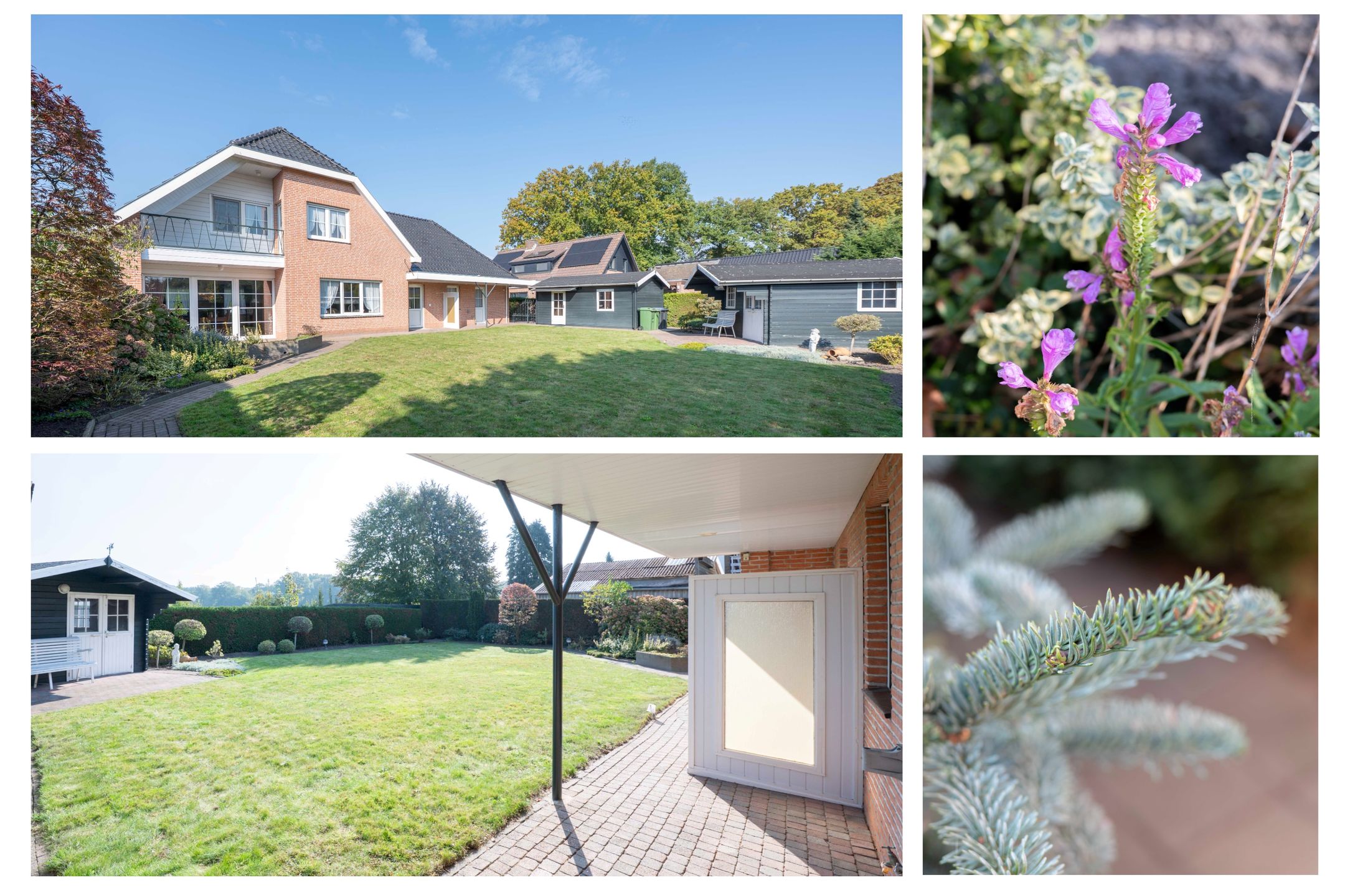 Foto 27 van Pastoor van Breugelstraat 9