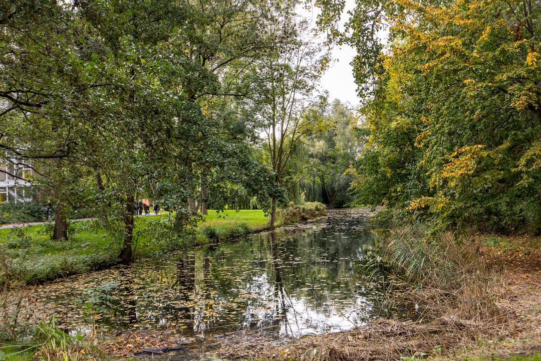 Foto 23 van Stadzicht 60