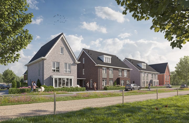 Foto 1 van Rabarber 12