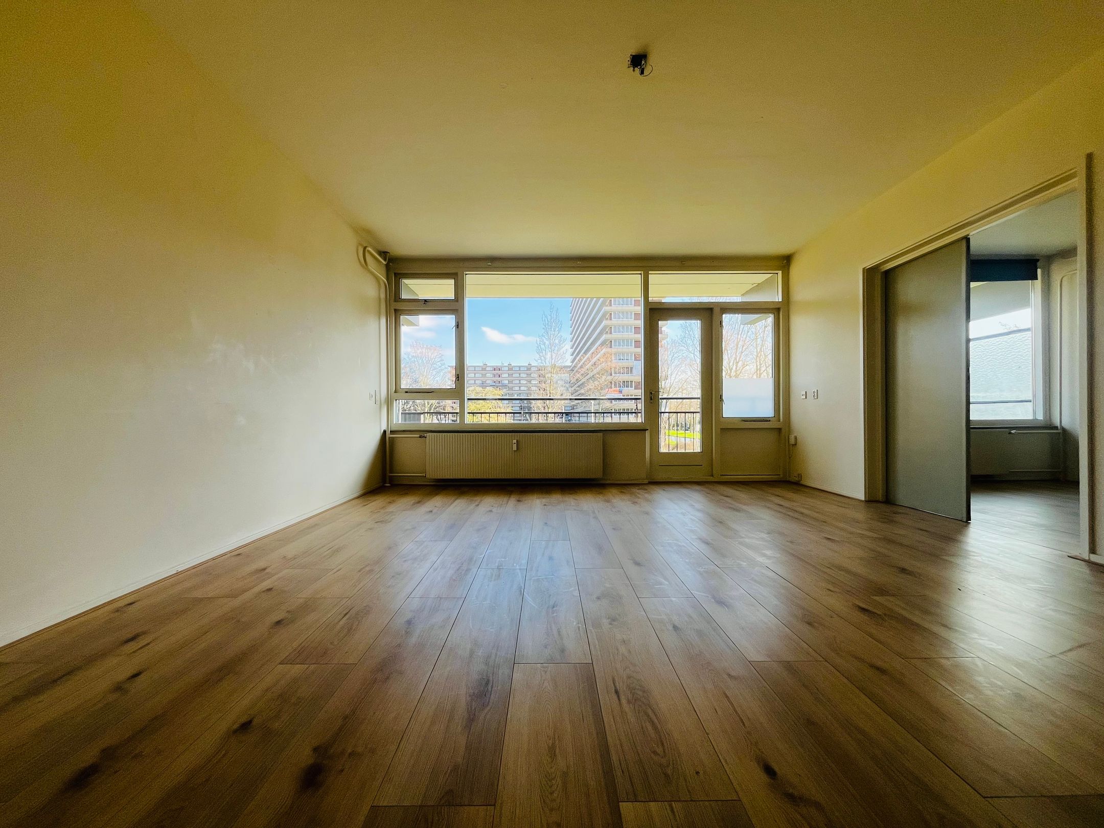 Roland Holstlaan 965