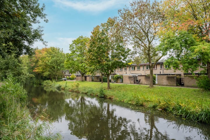 Foto 47 van Bosplaat 103