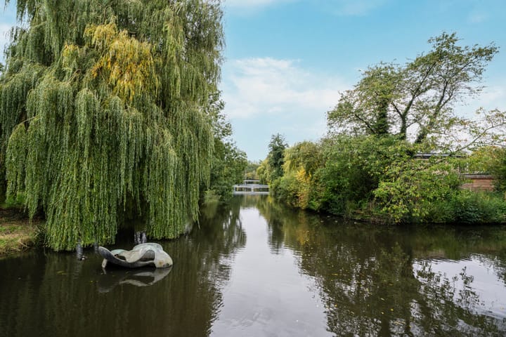 Foto 55 van Bosplaat 103