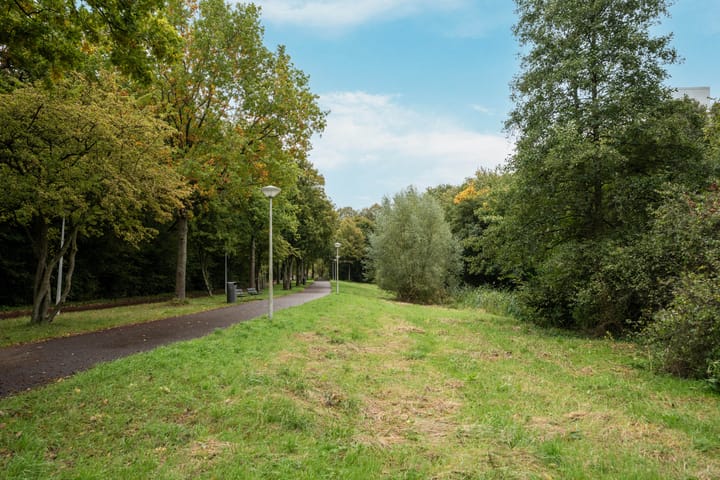 Foto 56 van Bosplaat 103