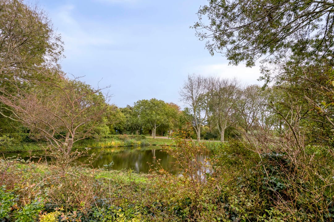 Foto 16 van Rodelaan 171