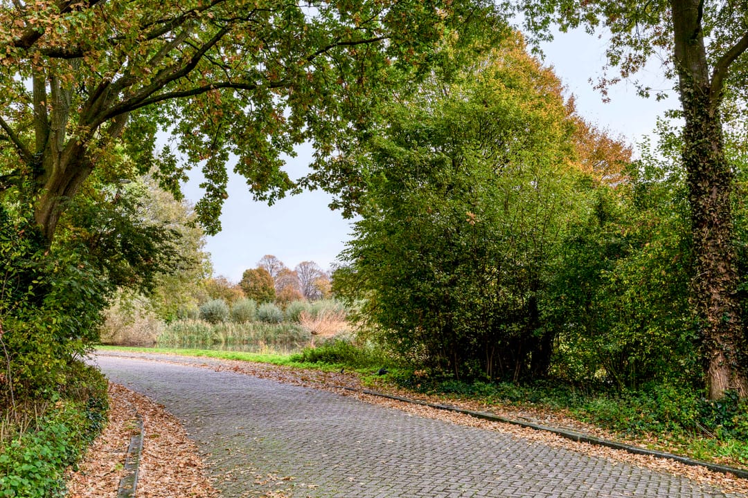 Foto 17 van Rodelaan 171