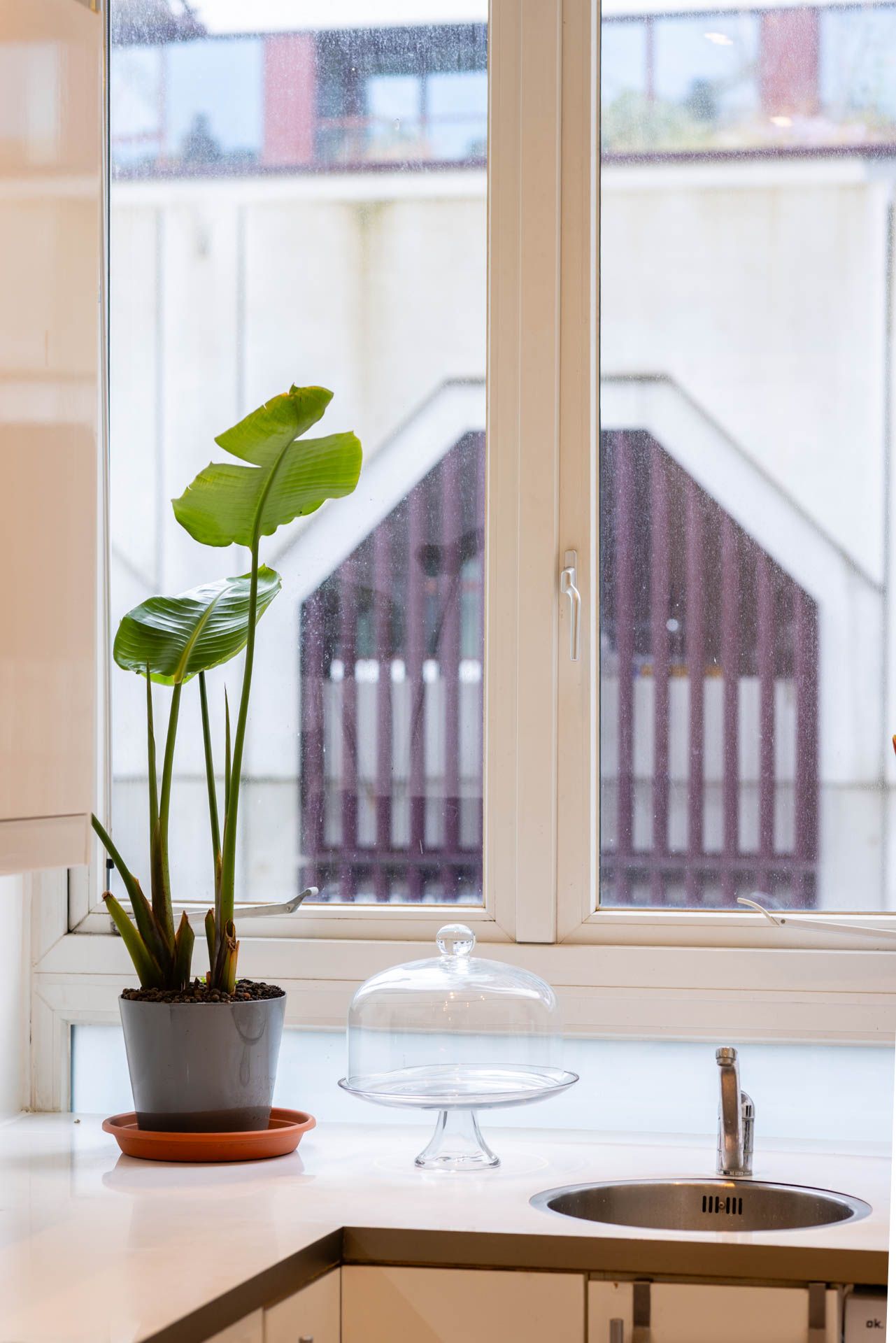 Foto 10 van Schiedamsedijk 69-B