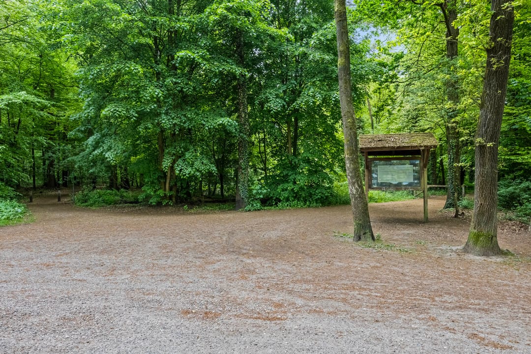 Foto 46 van Dennenweg 12