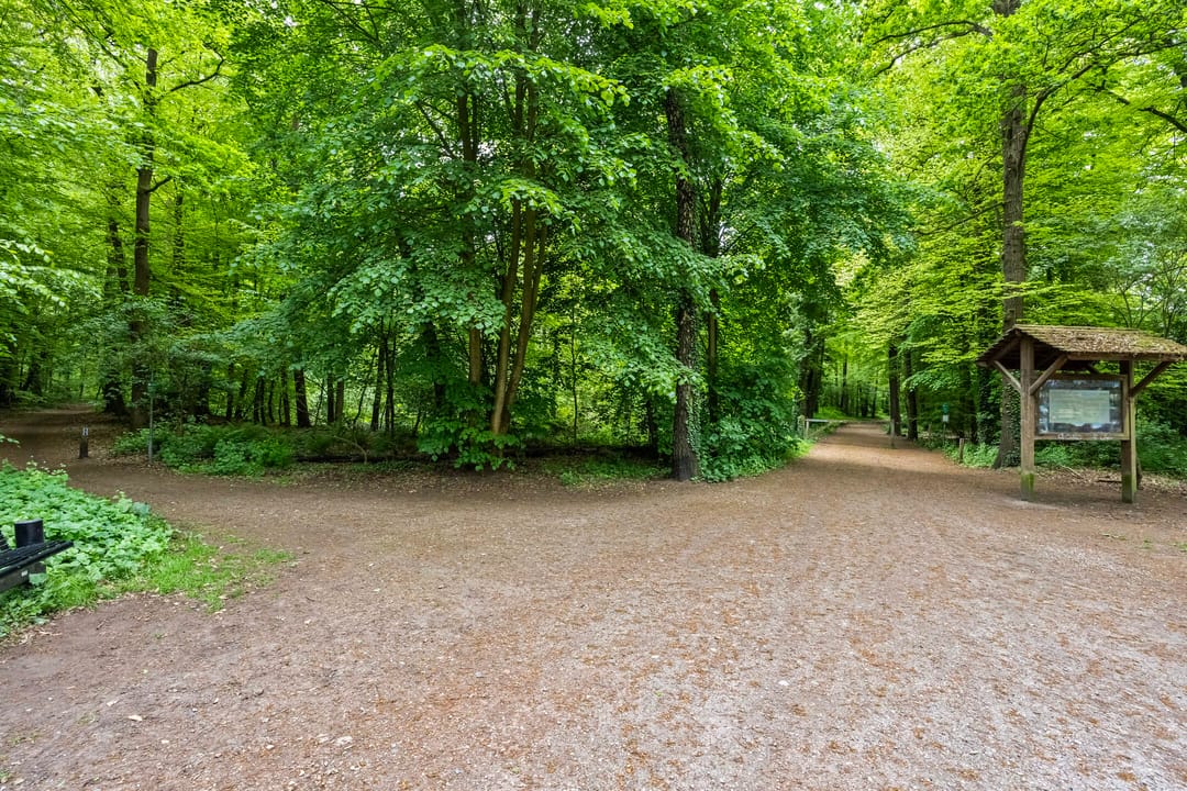 Foto 47 van Dennenweg 12