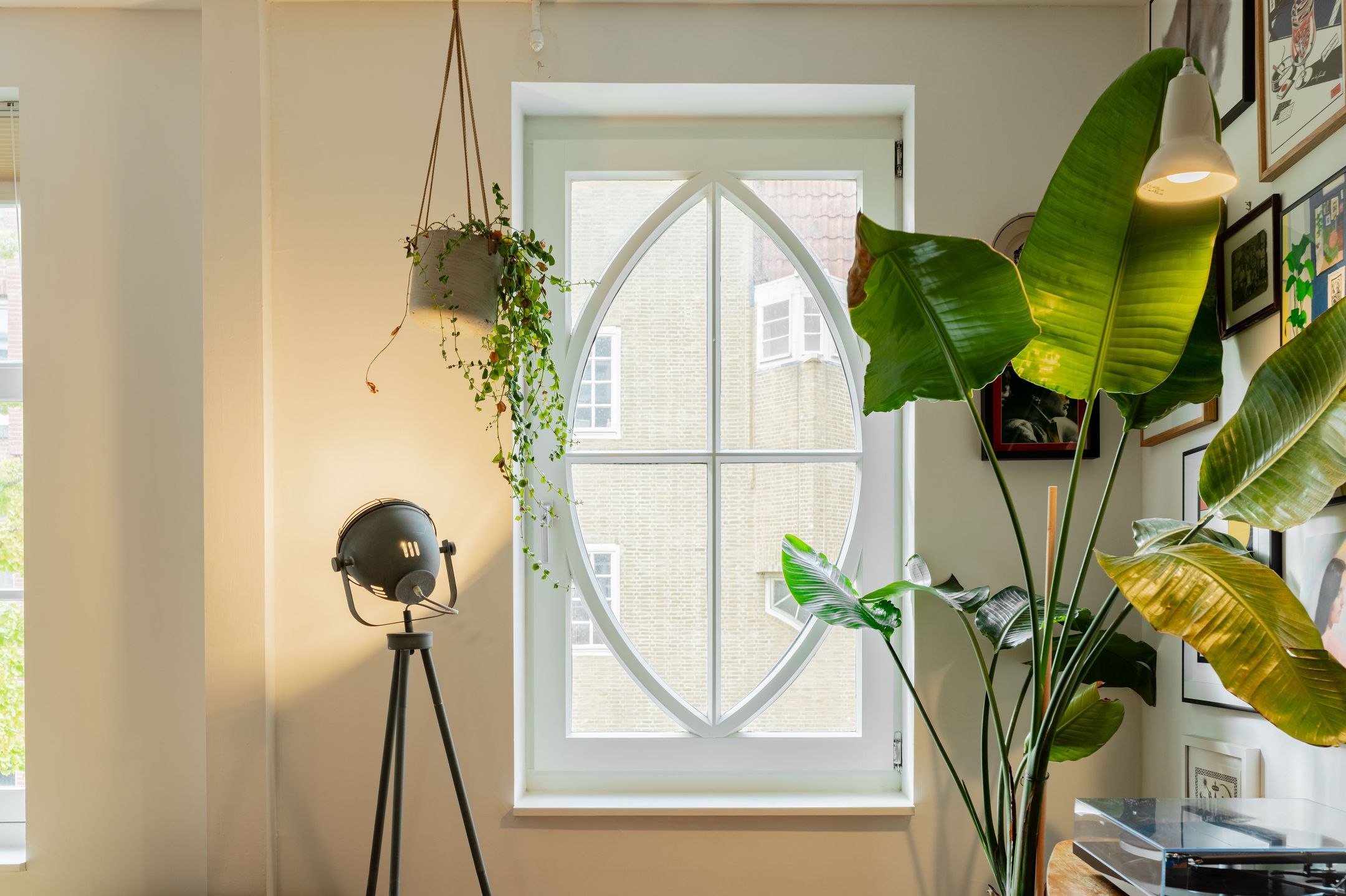 Foto 9 van Knollendamstraat 123