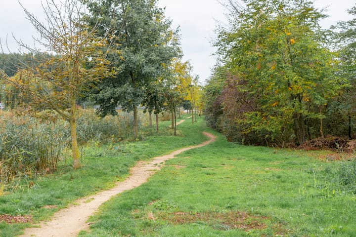 Photo 55 of Slipsteek 9