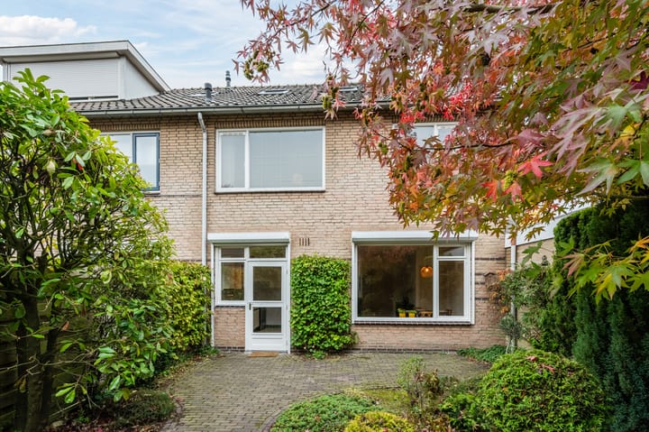 Foto 50 van Torenberglaan 16