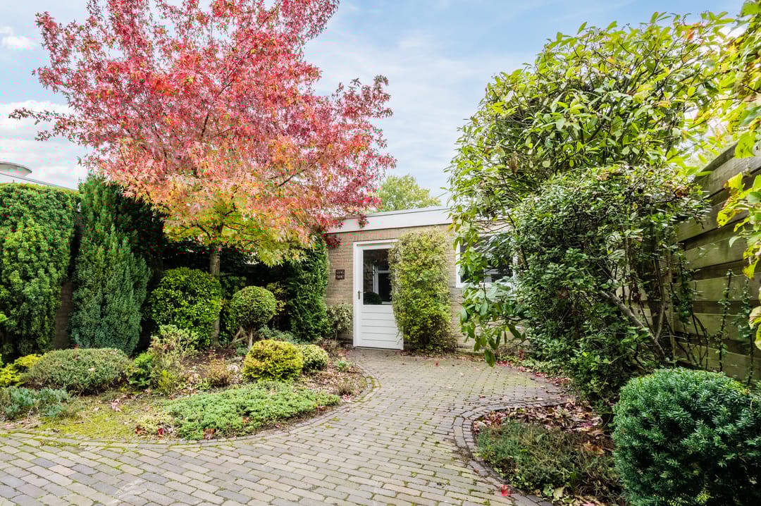 Foto 53 van Torenberglaan 16