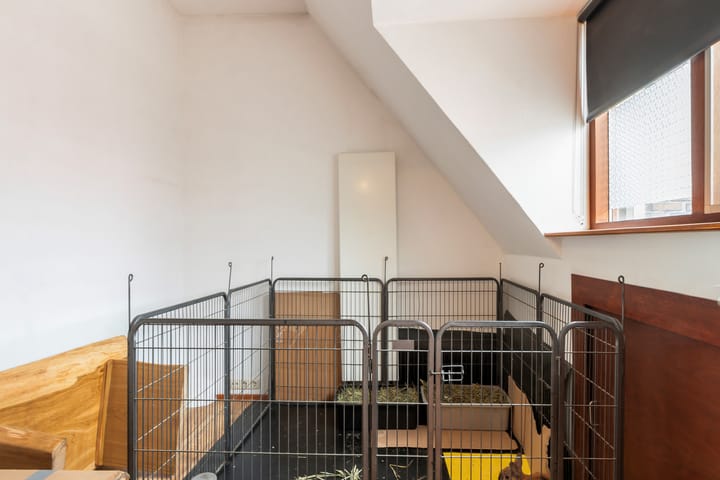 Photo 20 of Pieter van Aschstraat 36-B