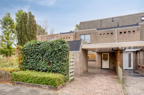 undefined main image