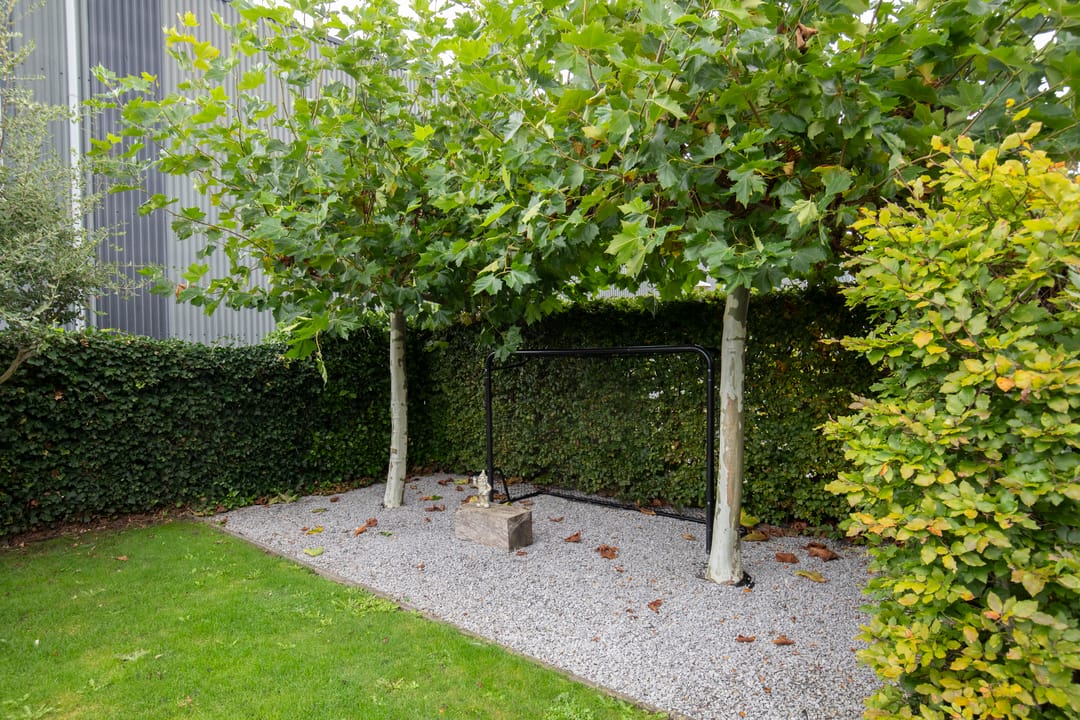 Foto 28 van Productieweg 6