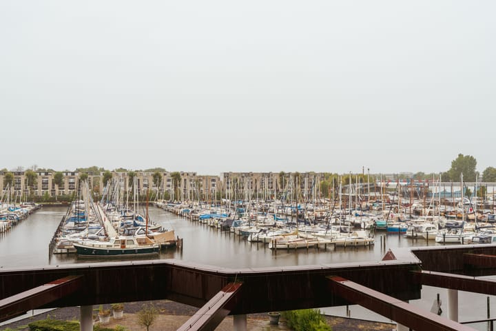 Foto 28 van Labradorstroom 101