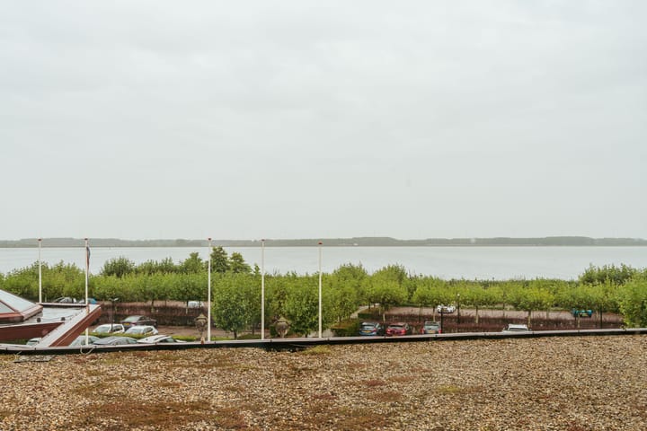 Foto 32 van Labradorstroom 101