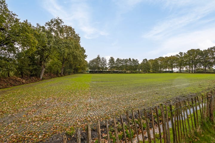 Photo 38 of Vaart Nz 4