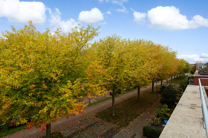 Photo 37 of Bergstraat 12