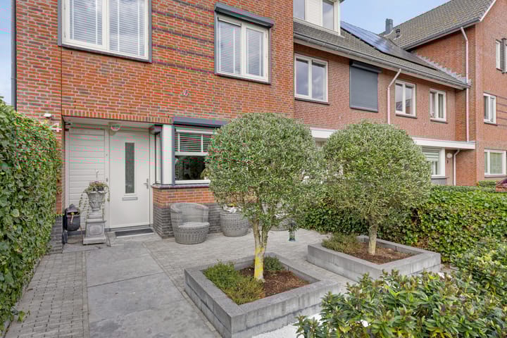 Photo 6 of Prisma 54