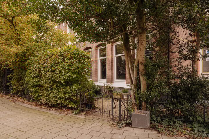 Foto 42 van Alexander Boersstraat 3