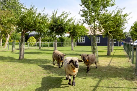 Gouweveerseweg 1 tertiary image