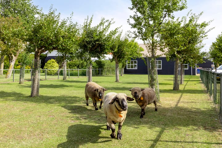 Photo 3 of Gouweveerseweg 1