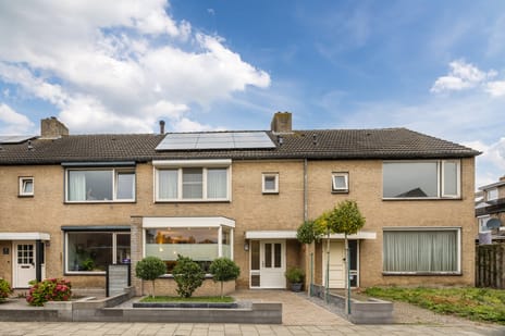 undefined main image