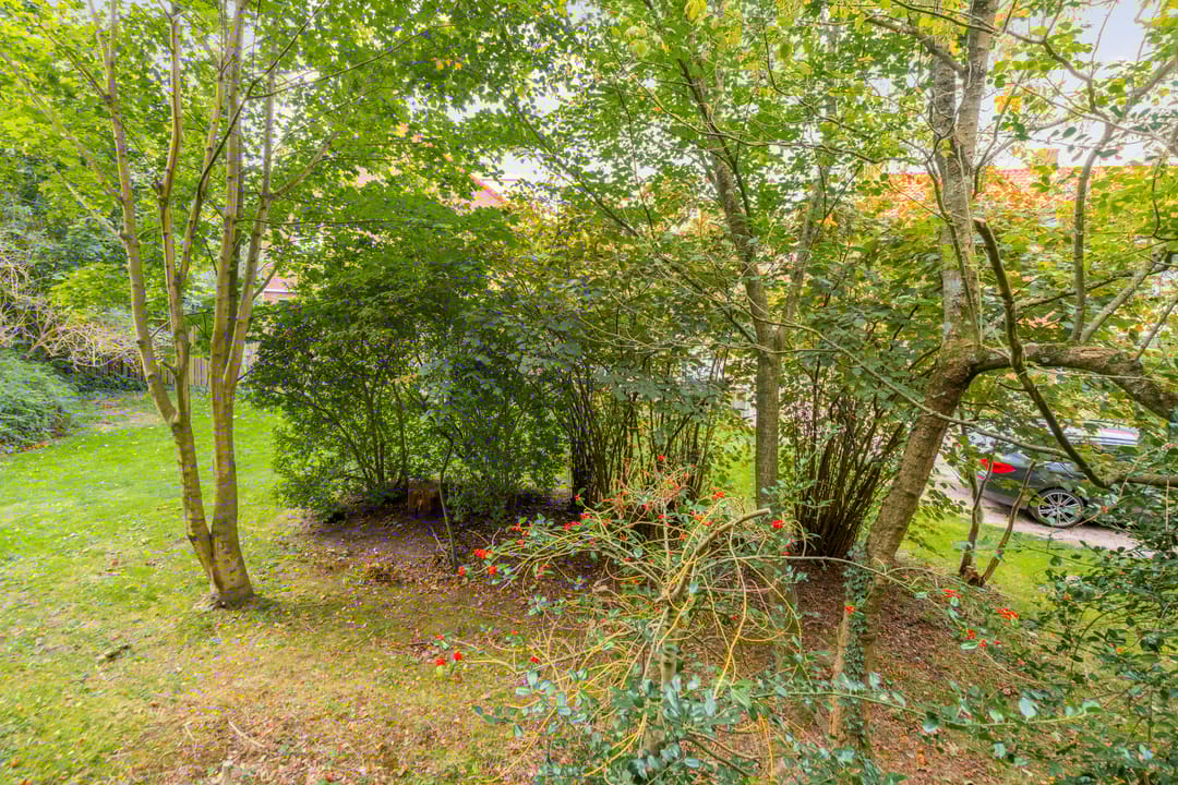 Foto 16 van Johan de Meesterstraat 27-A