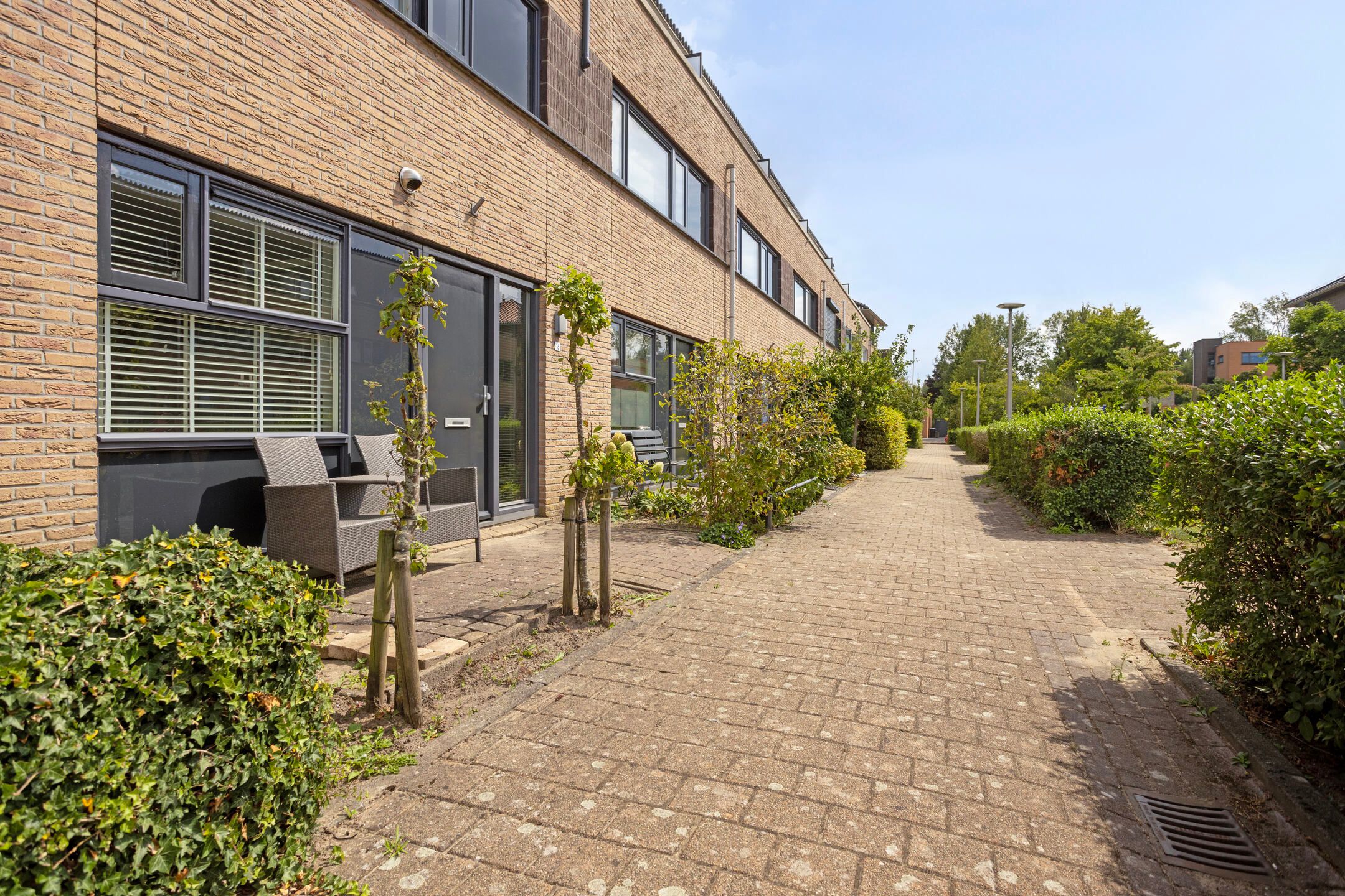 Foto 3 van Dotterbloem 16