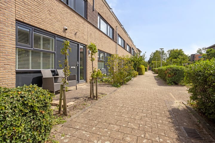 Foto 3 van Dotterbloem 16