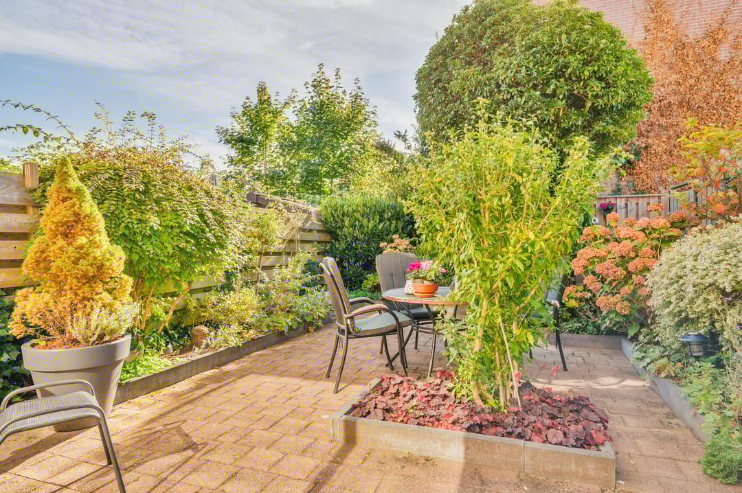 Foto 22 van Veldhommel 67