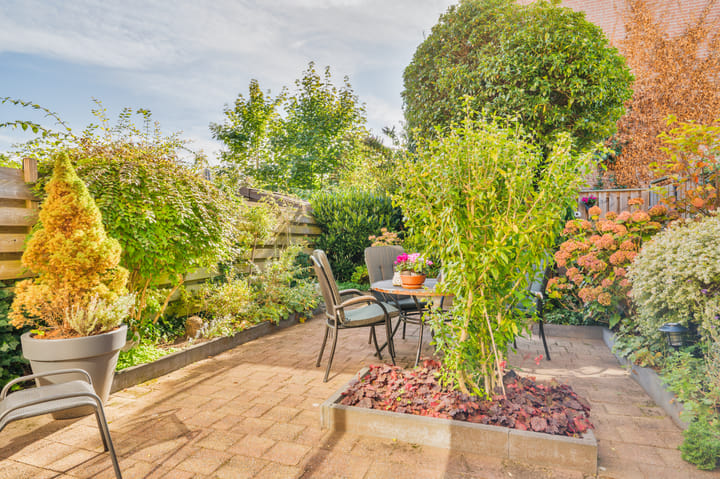 Foto 22 van Veldhommel 67