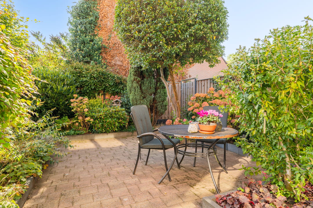 Foto 23 van Veldhommel 67