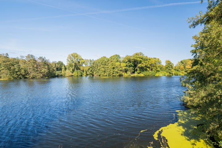 Foto 28 van Veldhommel 67