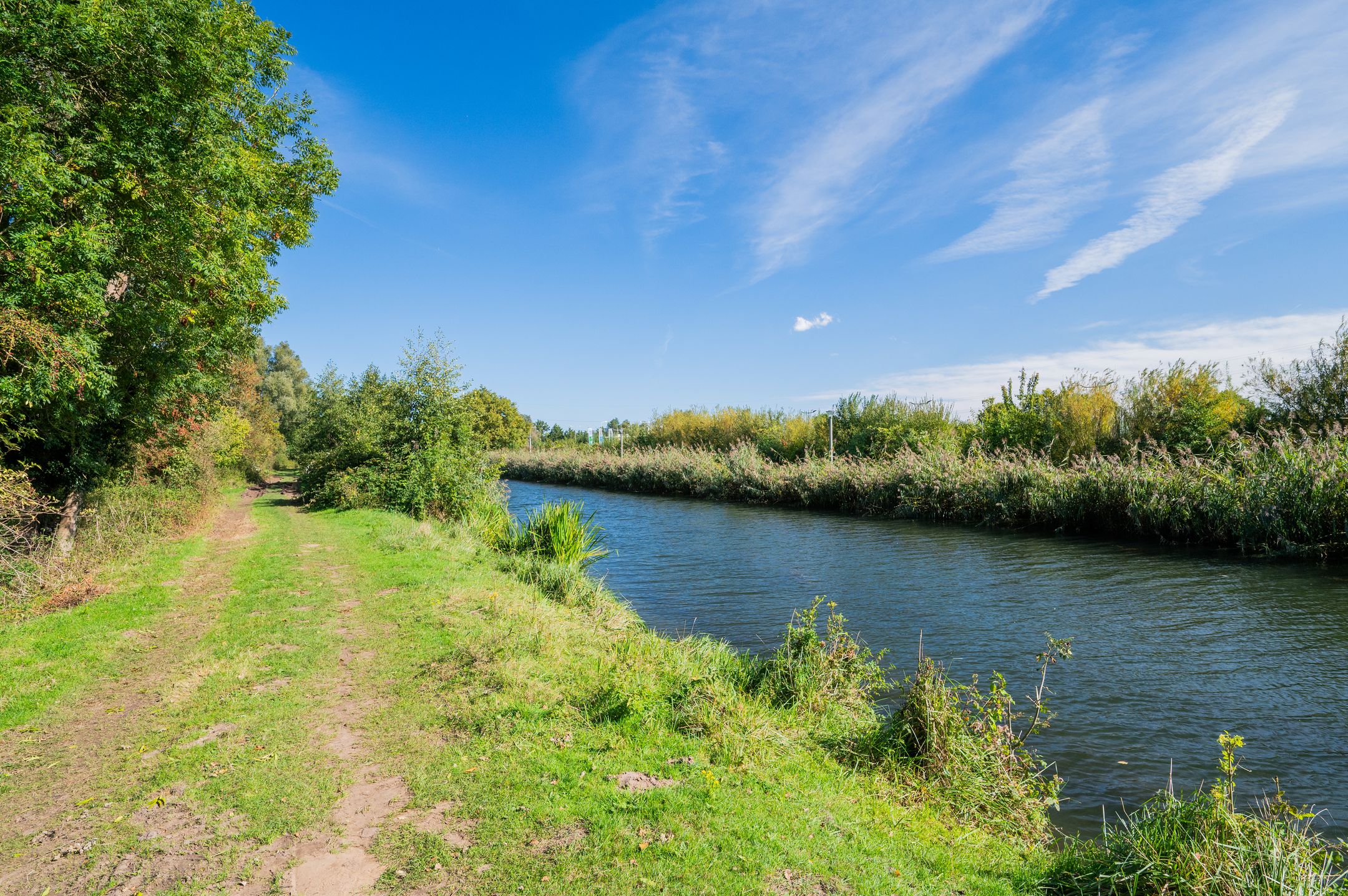 Foto 27 van Veldhommel 67