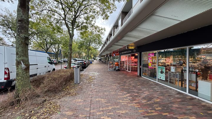 Foto 43 van Landréstraat 839