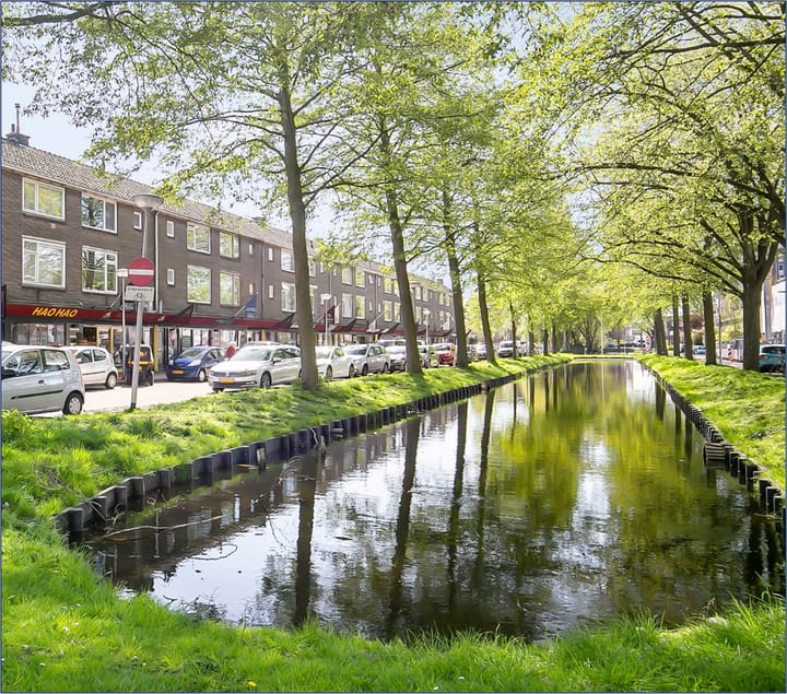 Foto 20 van Louise de Colignystraat 4