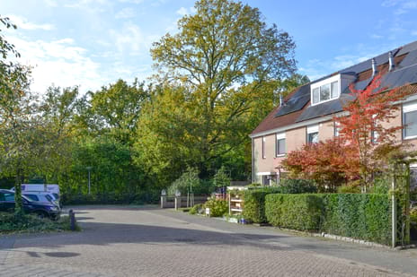 Heemraad 11 tertiary image