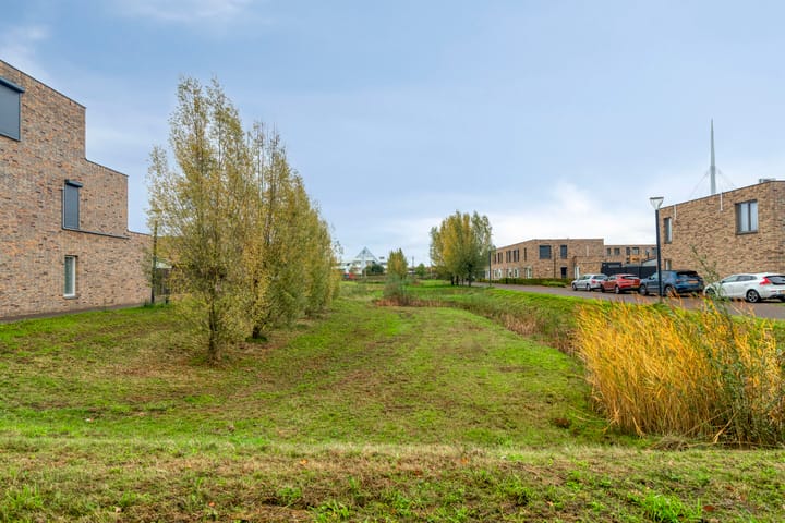 Foto 3 van Graslinnen 24