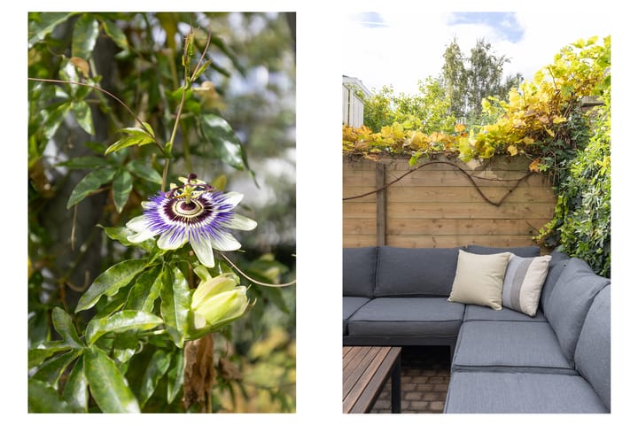 Foto 35 van Badstraat 2