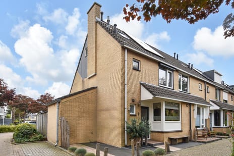 undefined main image