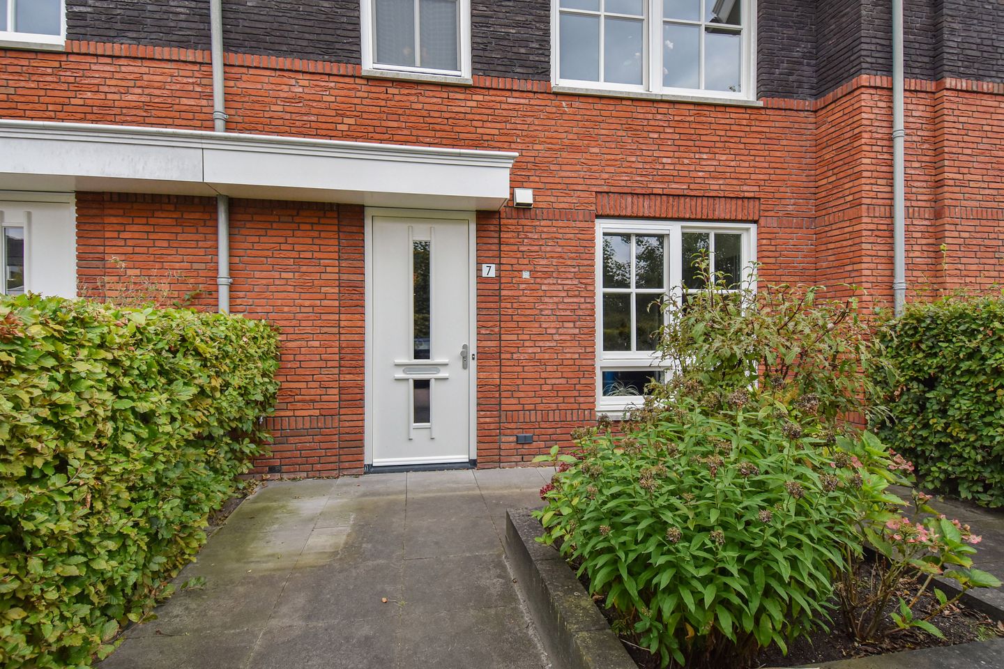 Foto 5 van Gele Kwikstaartlande 7