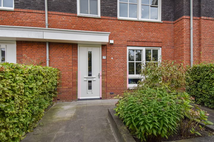 Foto 5 van Gele Kwikstaartlande 7