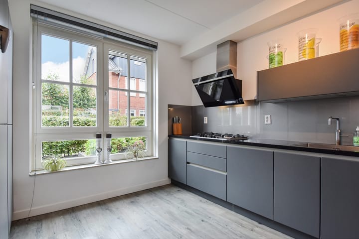 Photo 11 of Gele Kwikstaartlande 7