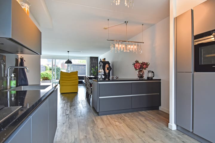 Photo 12 of Gele Kwikstaartlande 7