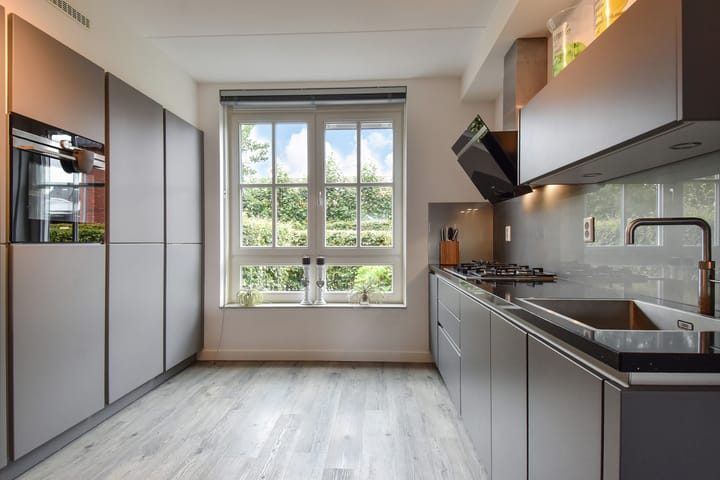 Foto 3 van Gele Kwikstaartlande 7