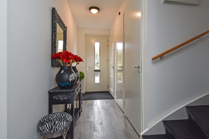 Photo 6 of Gele Kwikstaartlande 7